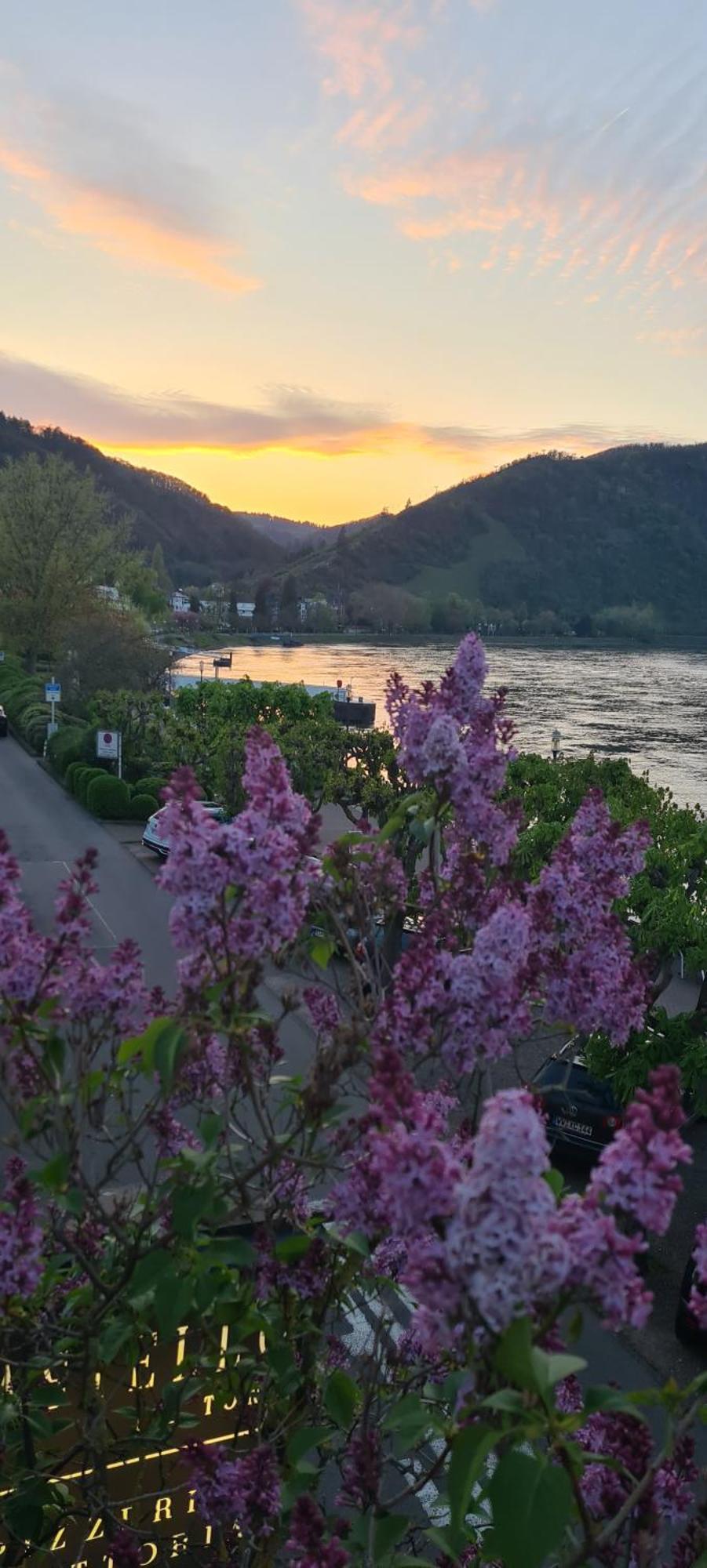 Castello Apartment Boppard