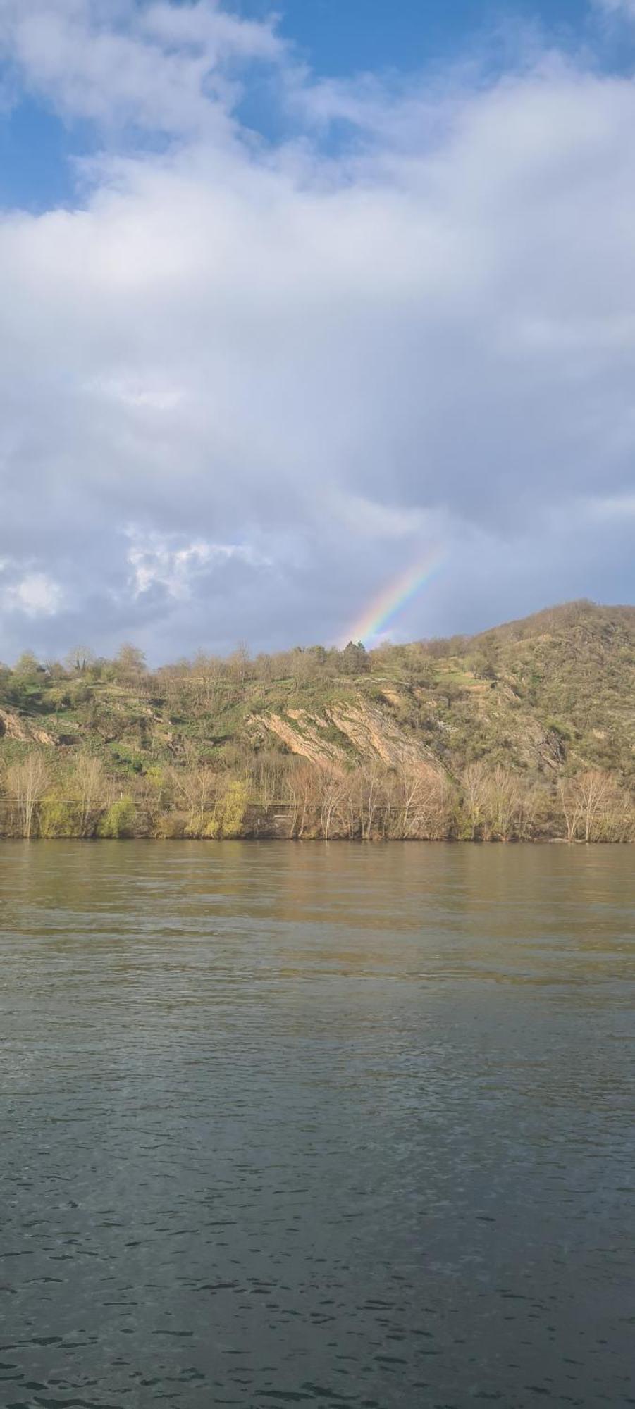 Castello Apartment Boppard